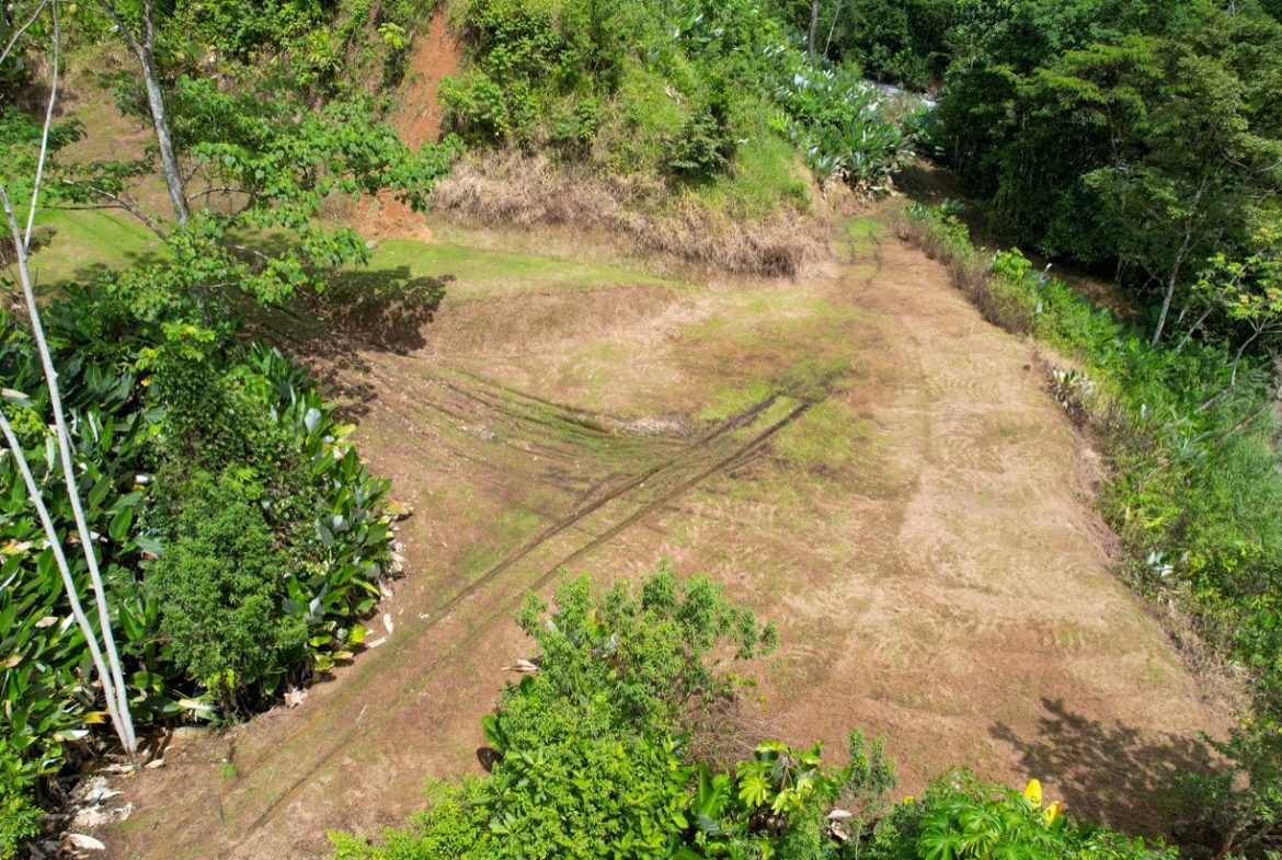 BUILDING PROPERTY A STEPS OF THE RIVER WITH MOUNTAINS VIEWS, IN DOS BOCAS – 11 ACRES