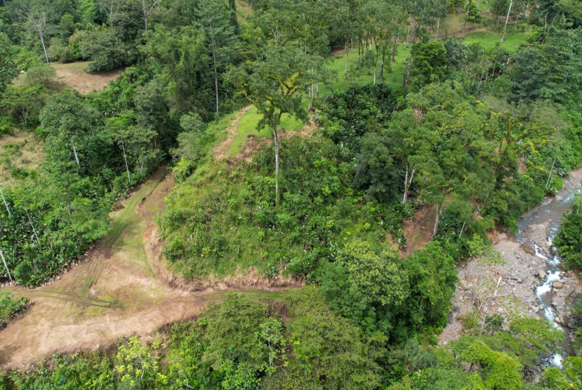 BUILDING PROPERTY A STEPS OF THE RIVER WITH MOUNTAINS VIEWS, IN DOS BOCAS – 11 ACRES
