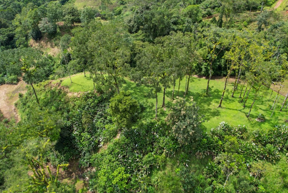 BUILDING PROPERTY A STEPS OF THE RIVER WITH MOUNTAINS VIEWS, IN DOS BOCAS – 11 ACRES