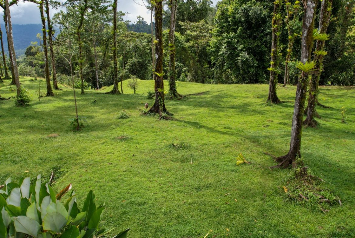BUILDING PROPERTY A STEPS OF THE RIVER WITH MOUNTAINS VIEWS, IN DOS BOCAS – 11 ACRES
