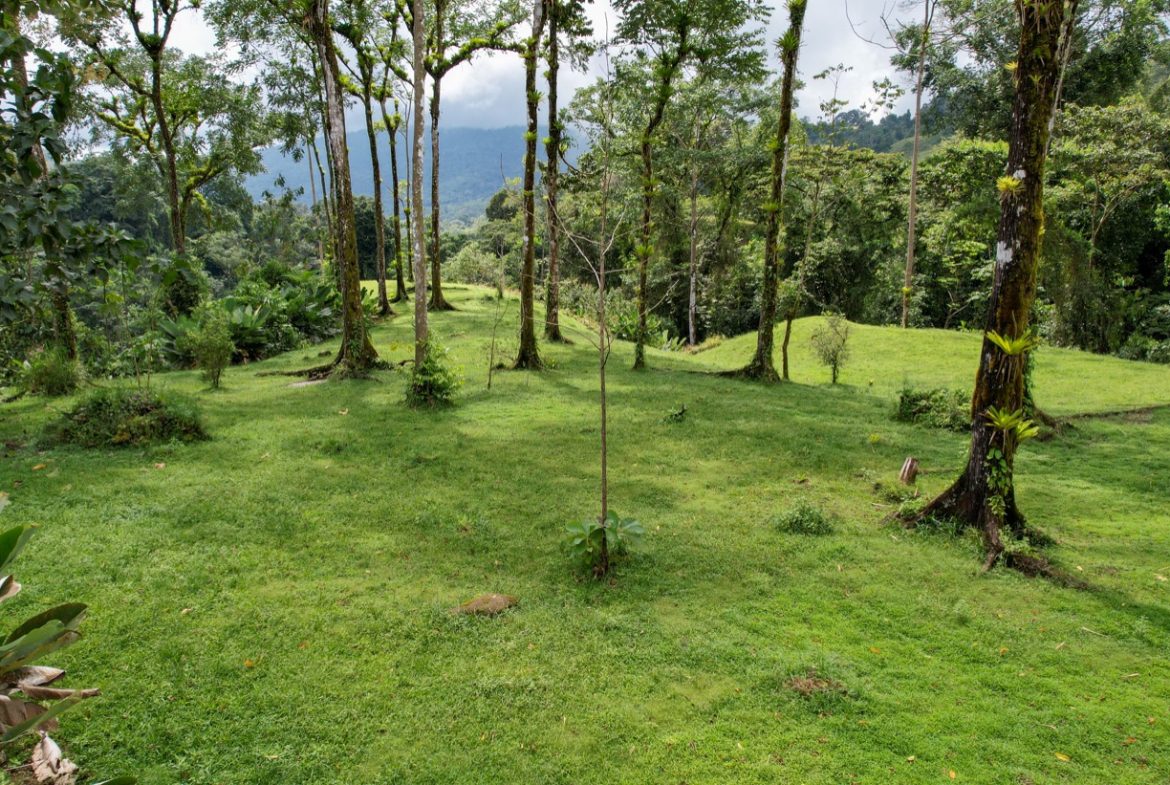 BUILDING PROPERTY A STEPS OF THE RIVER WITH MOUNTAINS VIEWS, IN DOS BOCAS – 11 ACRES