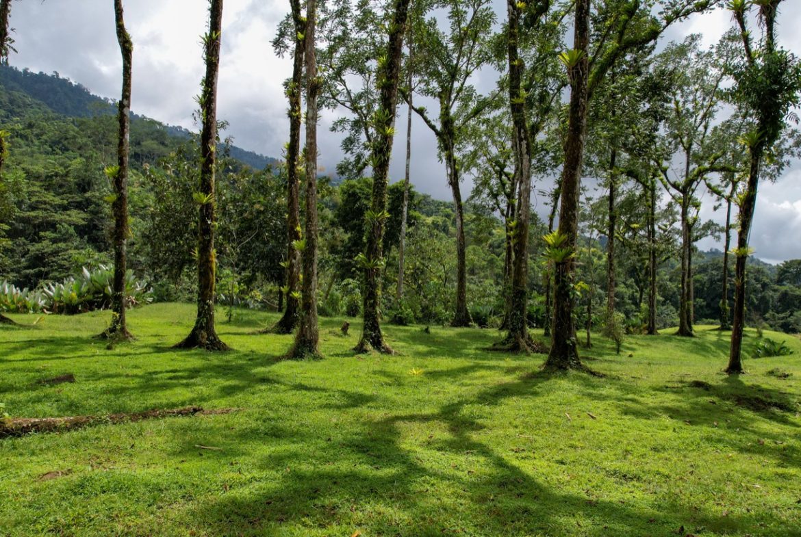 BUILDING PROPERTY A STEPS OF THE RIVER WITH MOUNTAINS VIEWS, IN DOS BOCAS – 11 ACRES