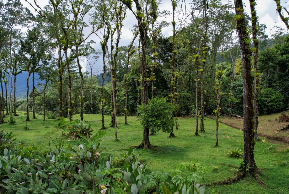 BUILDING PROPERTY A STEPS OF THE RIVER WITH MOUNTAINS VIEWS, IN DOS BOCAS – 11 ACRES