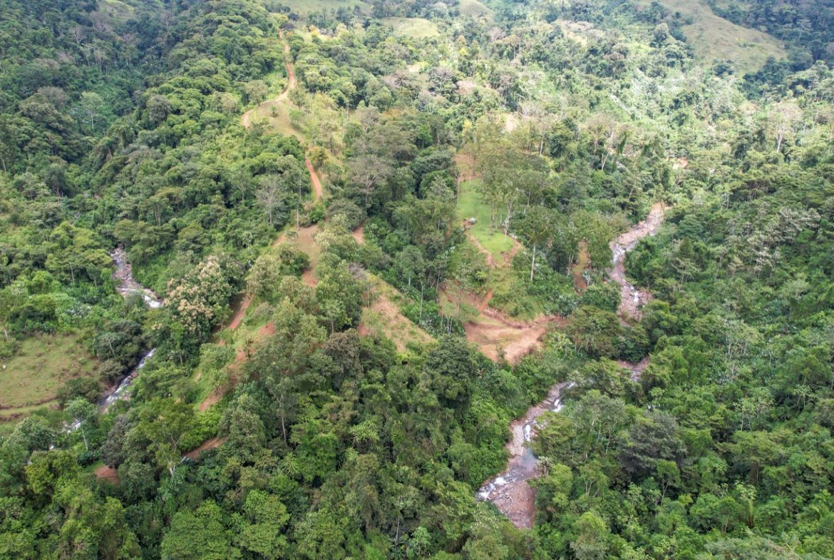 BUILDING PROPERTY A STEPS OF THE RIVER WITH MOUNTAINS VIEWS, IN DOS BOCAS – 11 ACRES