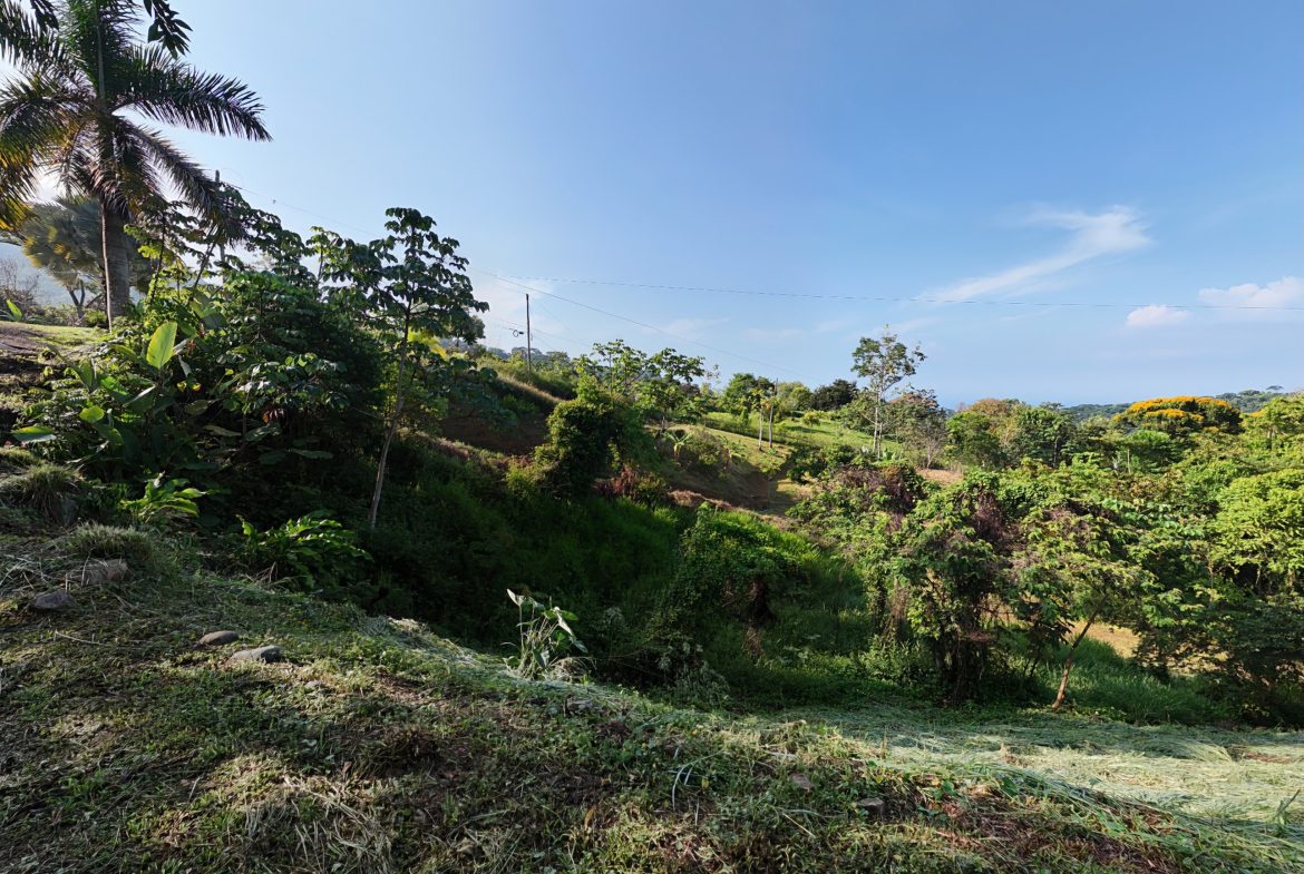 BUILDING PROPERTY WITH MOUNTAINS VIEWS, IN SAN JOSECITO – 1.8 ACRES