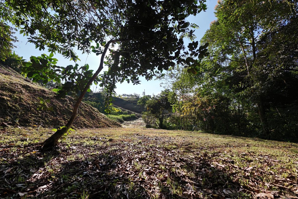 BUILDING PROPERTY WITH MOUNTAINS VIEWS, IN SAN JOSECITO – 1.8 ACRES