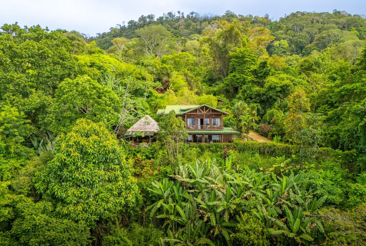 VILLA KRISTINA MOUNTAIN PROPERTY WITH OCEAN VIEWS AND A GUEST HOUSE, IN BALLENA – 3.8 ACRES, Uvita, Costa Rica — photo 2