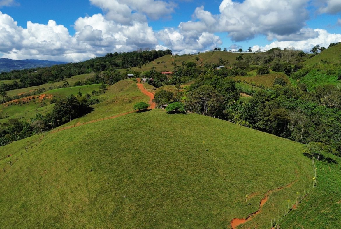 FARM PROPERTY NEAR TO THE CREEK, IN PEJIBAYE PEREZ ZELEDON – 4.5 ACRES