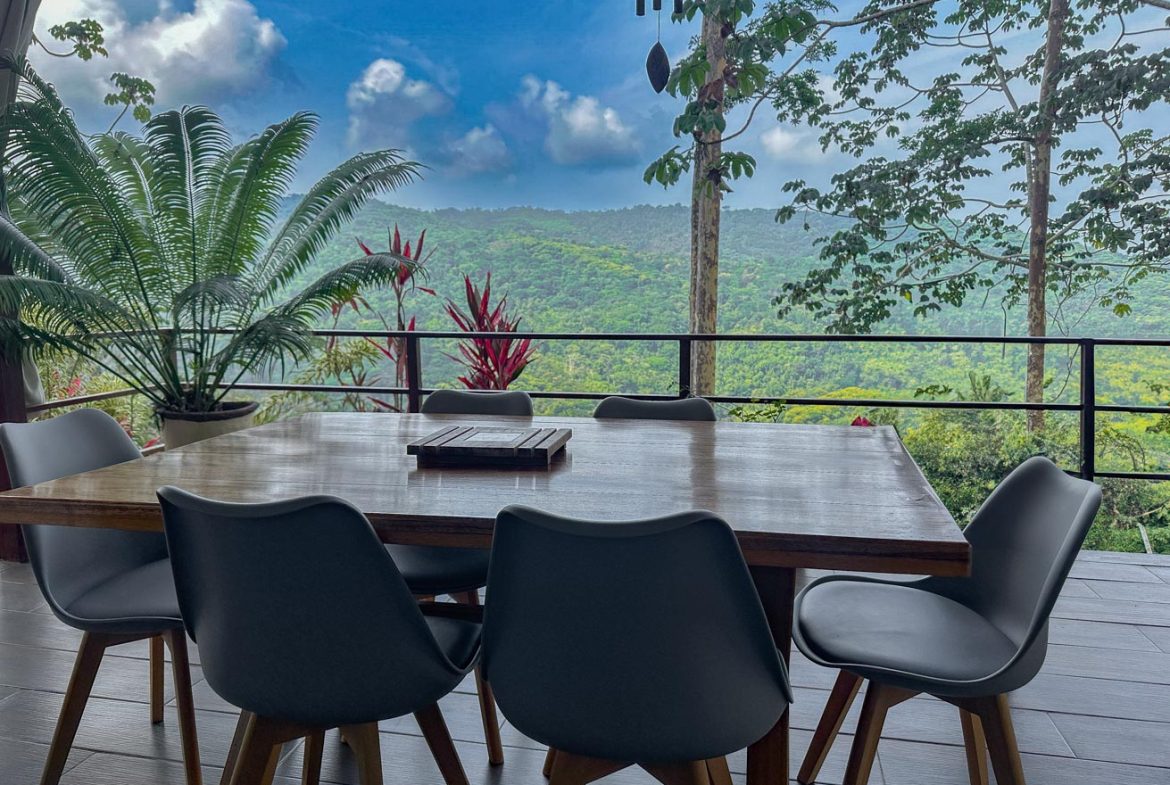 MOUNTAIN PROPERTY WITH A GUEST HOUSE WITH BEAUTIFUL VIEWS OF THE NATURE, IN BARU – 3.53 ACRES