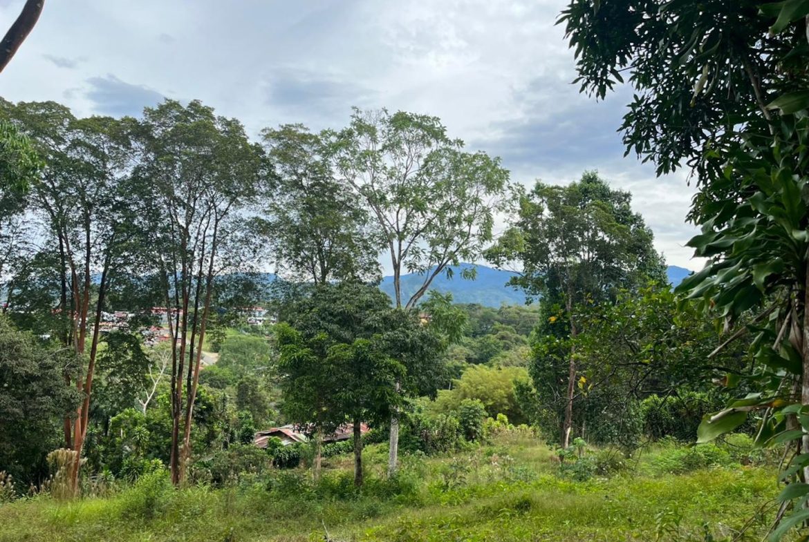 BUILDING PROPERTY WITH PUBLIC ROAD IN FRONT AND FRUIT TREES, IN SAN ISIDRO – 0.53 ACRES