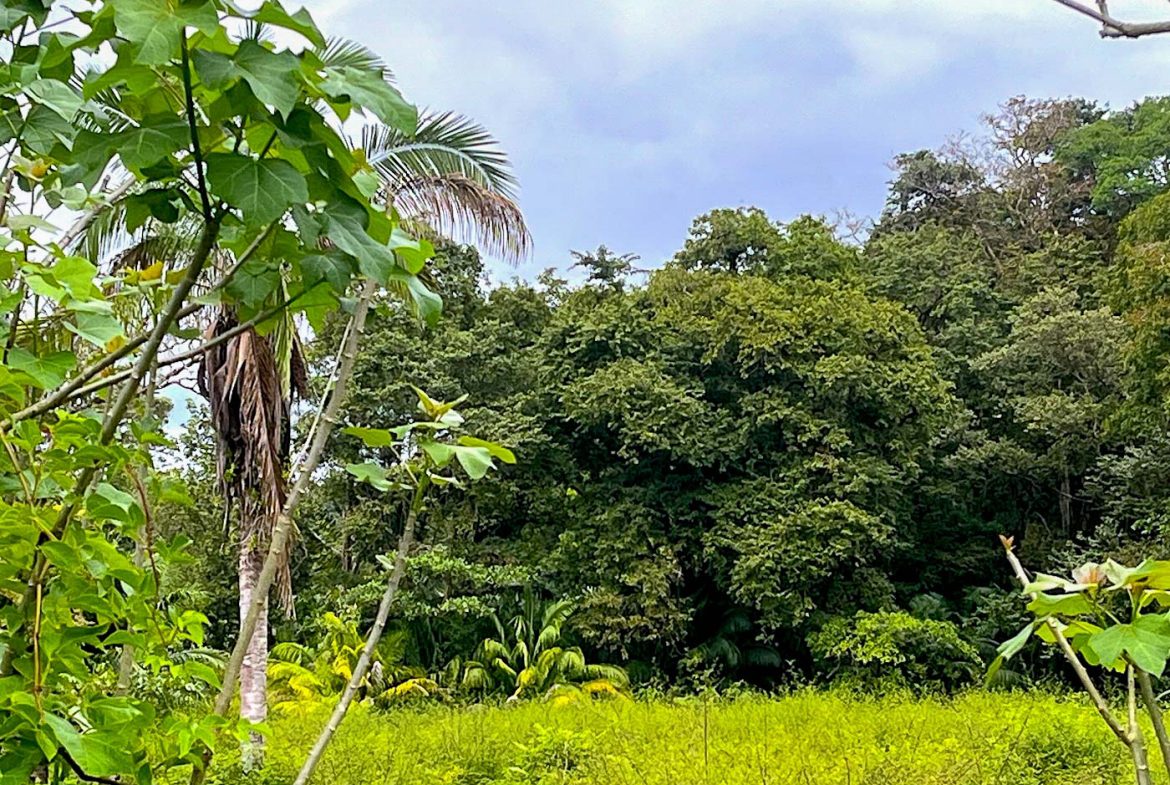 BUILDING PROPERTY WITH STEPS OF THE BEACH, IN LA COLONIA – 2.47 ACRES