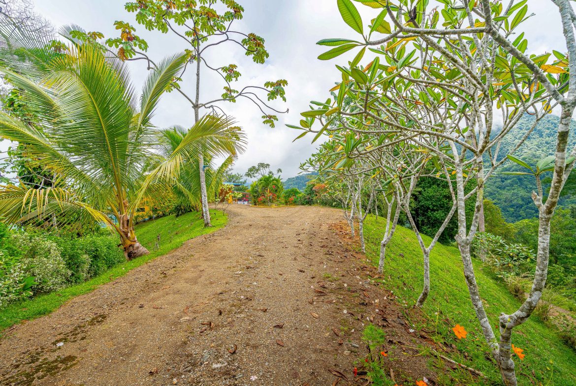 PROPERTY WITH PANORAMIC VIEWS OF THE OCEAN AND MOUNTAINS – 10.30 ACRES, Uvita, Costa Rica — photo 2