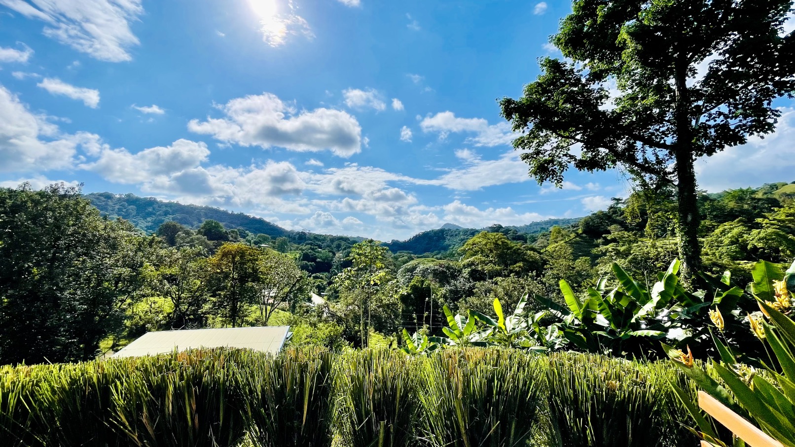 4923 2 bed Tres Rios 43