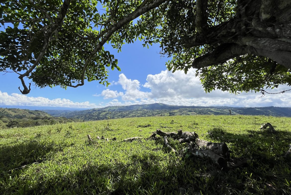 FARM PROPERTY NEAR TO THE CREEK, IN PEJIBAYE PEREZ ZELEDON – 4.5 ACRES