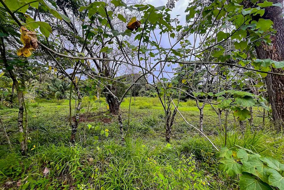 BUILDING PROPERTY WITH STEPS OF THE BEACH, IN LA COLONIA – 2.47 ACRES