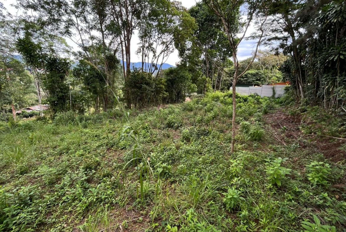 BUILDING PROPERTY WITH PUBLIC ROAD IN FRONT AND FRUIT TREES, IN SAN ISIDRO – 0.53 ACRES