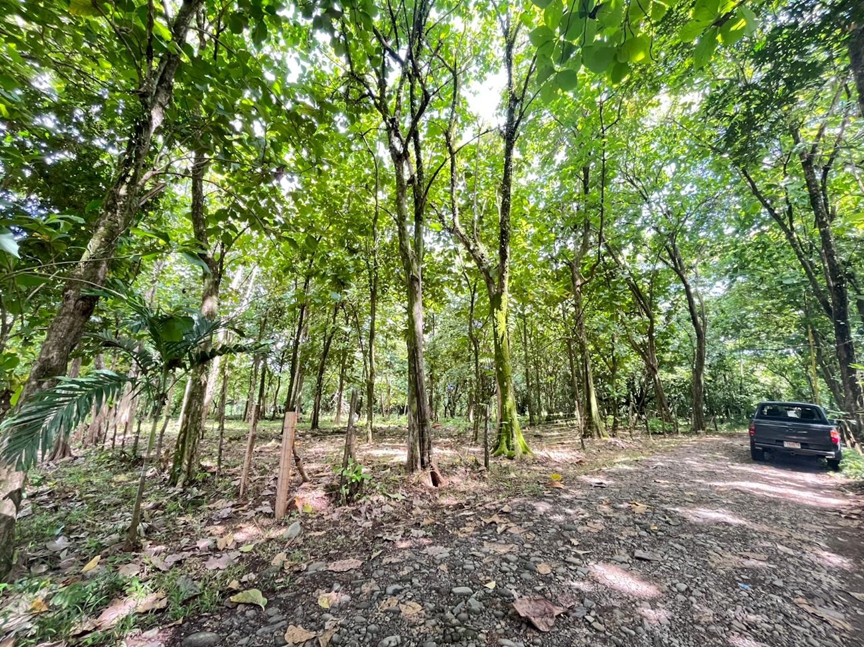 59752d1e-f0ff-4495-a10b-39c28febf05e