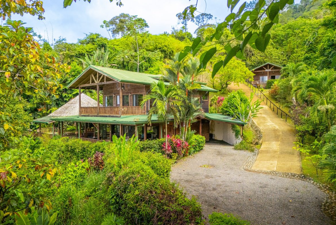 VILLA KRISTINA MOUNTAIN PROPERTY WITH OCEAN VIEWS AND A GUEST HOUSE, IN BALLENA – 3.8 ACRES, Uvita, Costa Rica — photo 3