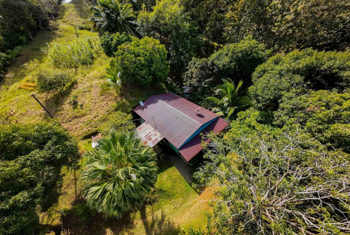 DEVELOPMENT LAND NEAR TO THE CITY AND THE BEACH, IN BAHIA BALLENA – 29 ACRES