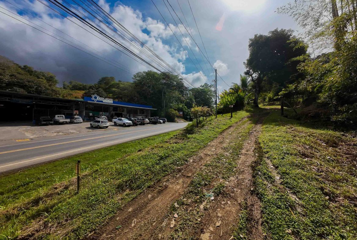 DEVELOPMENT LAND NEAR TO THE CITY AND THE BEACH, IN BAHIA BALLENA – 29 ACRES