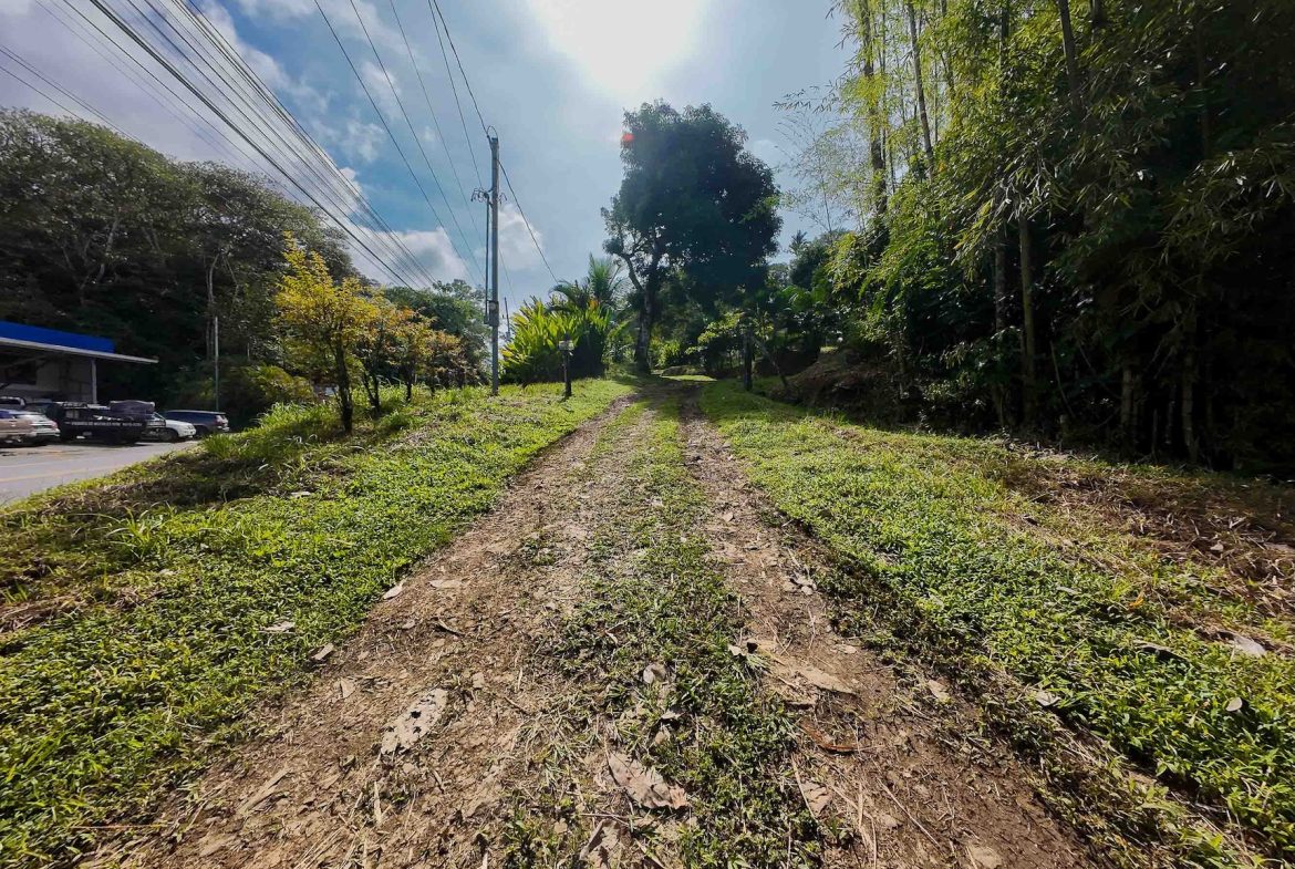 DEVELOPMENT LAND NEAR TO THE CITY AND THE BEACH, IN BAHIA BALLENA – 29 ACRES