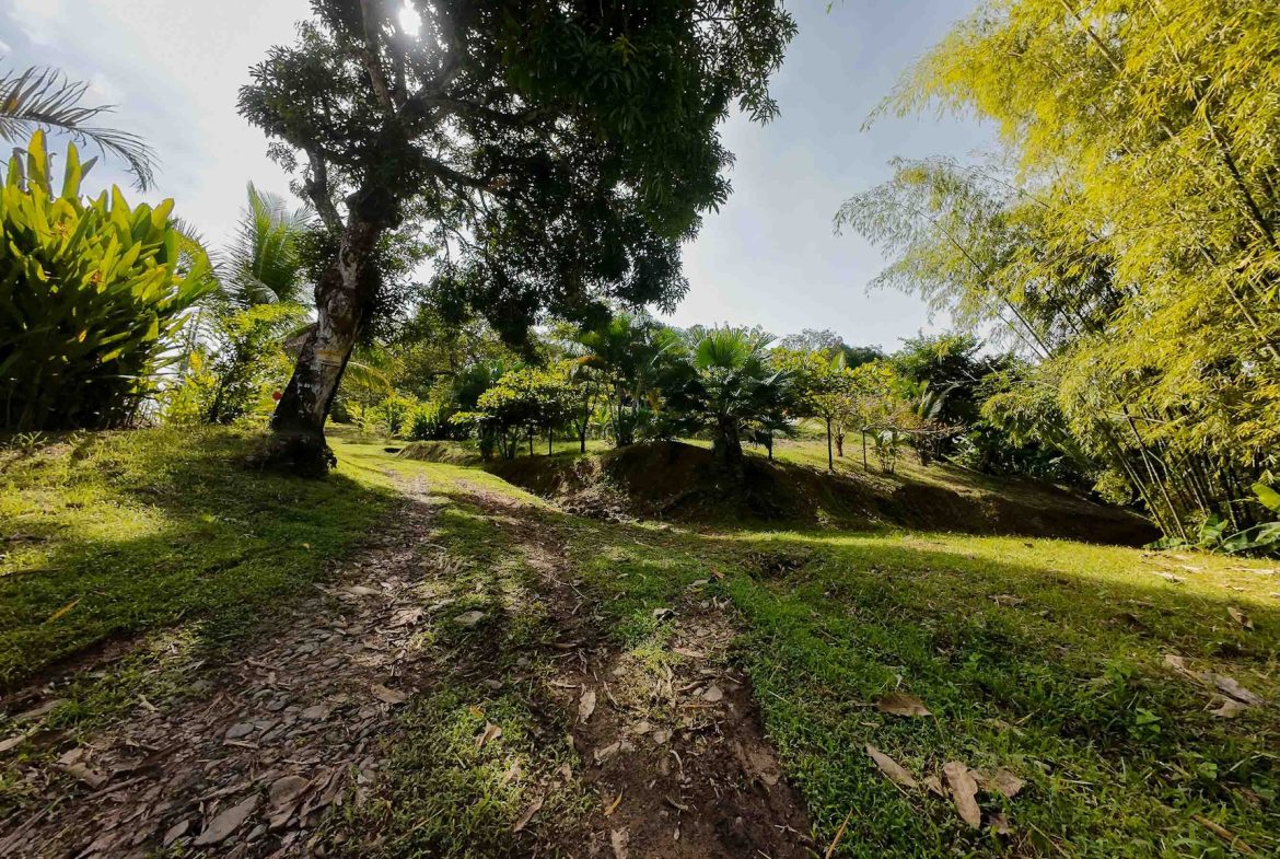 DEVELOPMENT LAND NEAR TO THE CITY AND THE BEACH, IN BAHIA BALLENA – 29 ACRES