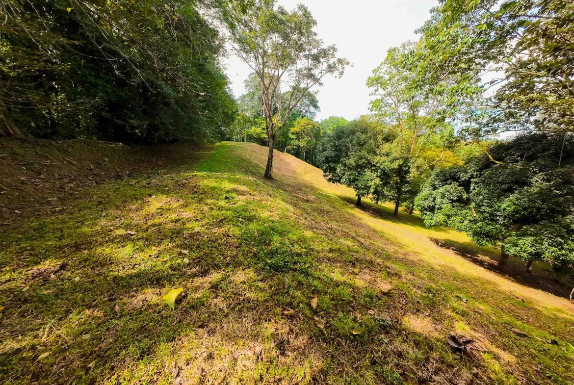 DEVELOPMENT LAND NEAR TO THE CITY AND THE BEACH, IN BAHIA BALLENA – 29 ACRES