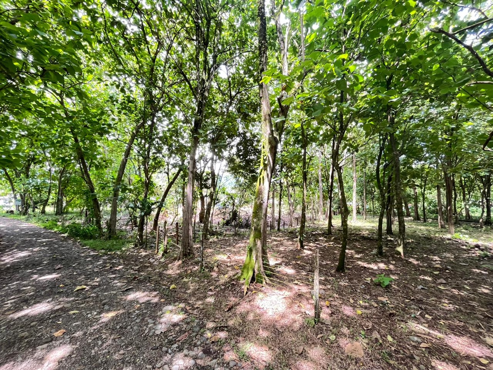 65bde1a6-508d-4f7c-90c9-c7989ec433f9