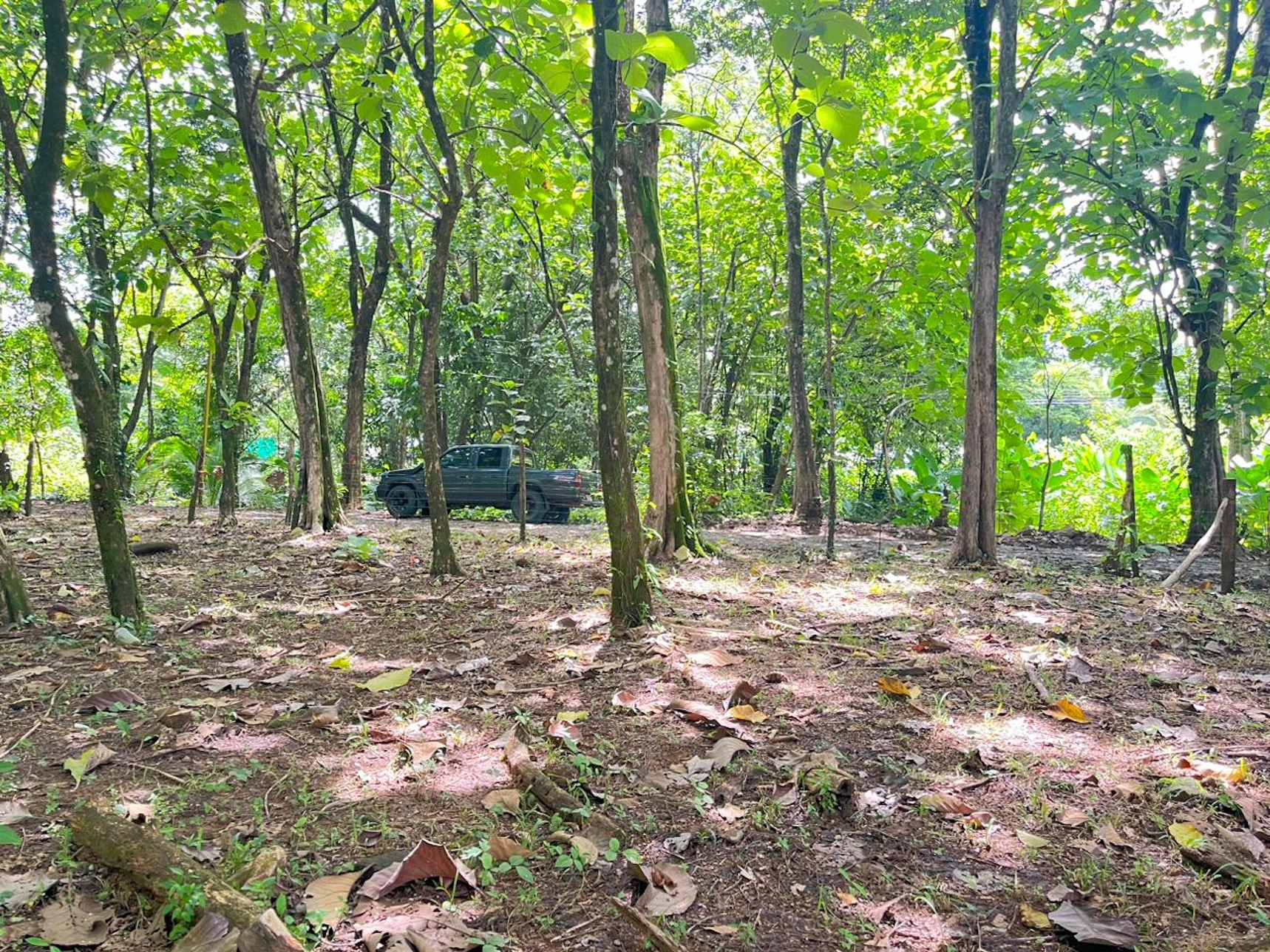 6797b13b-93be-40e1-930d-c65b500d0c4f