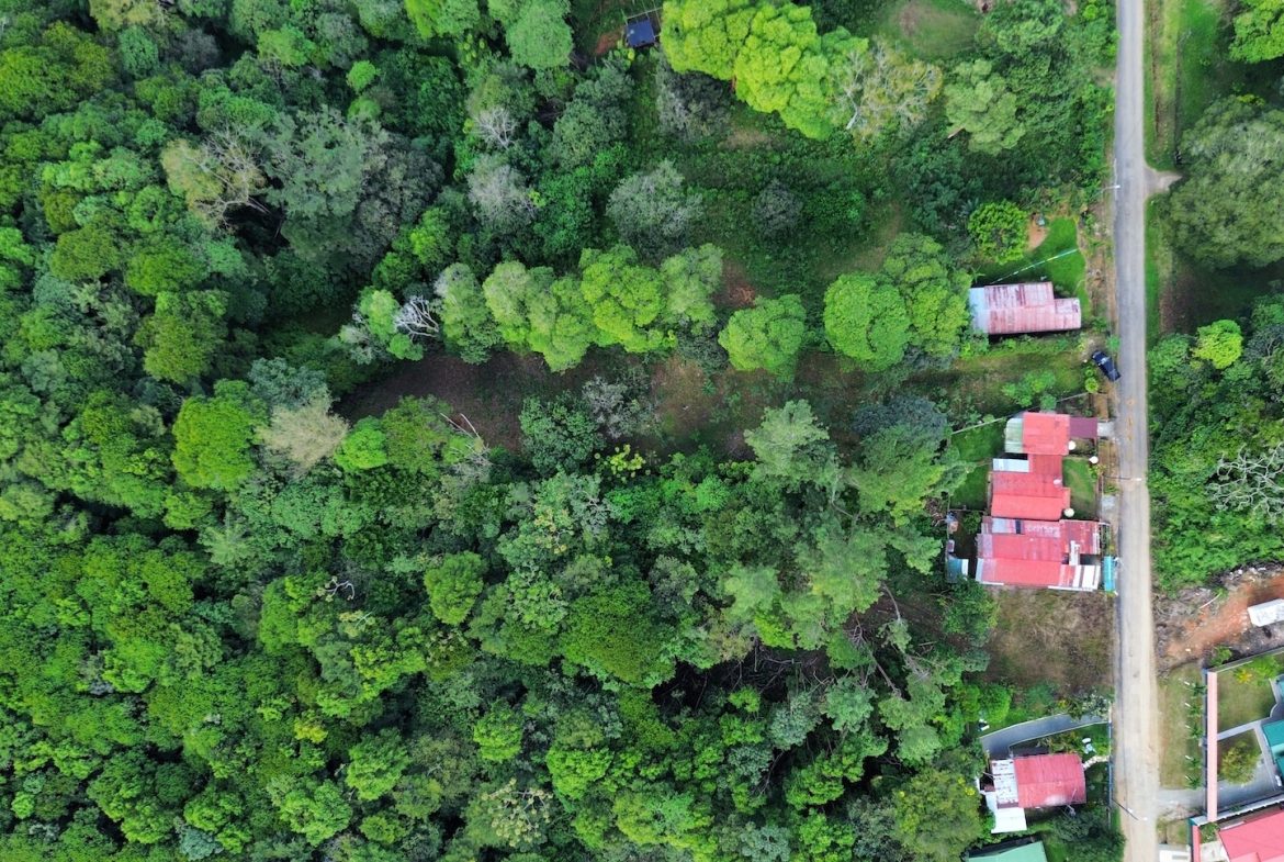 BUILDING PROPERTY WITH PUBLIC ROAD IN FRONT AND FRUIT TREES, IN SAN ISIDRO – 0.53 ACRES