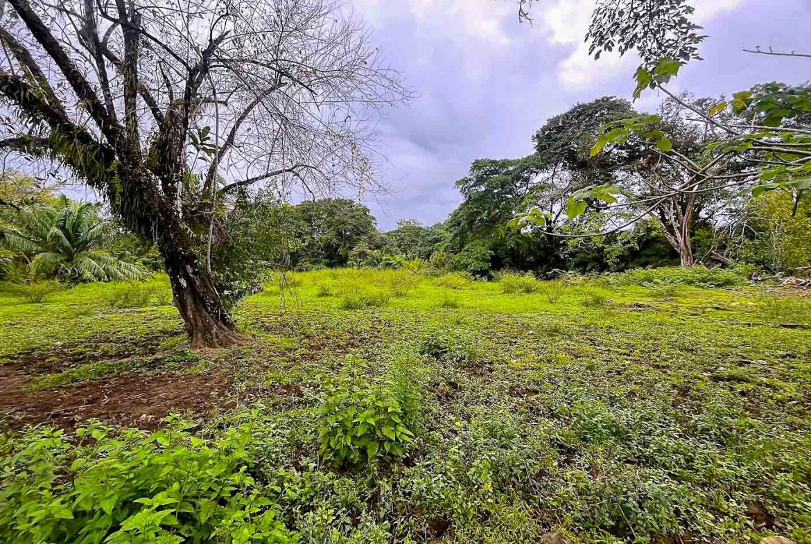 BUILDING PROPERTY WITH STEPS OF THE BEACH, IN LA COLONIA – 2.47 ACRES
