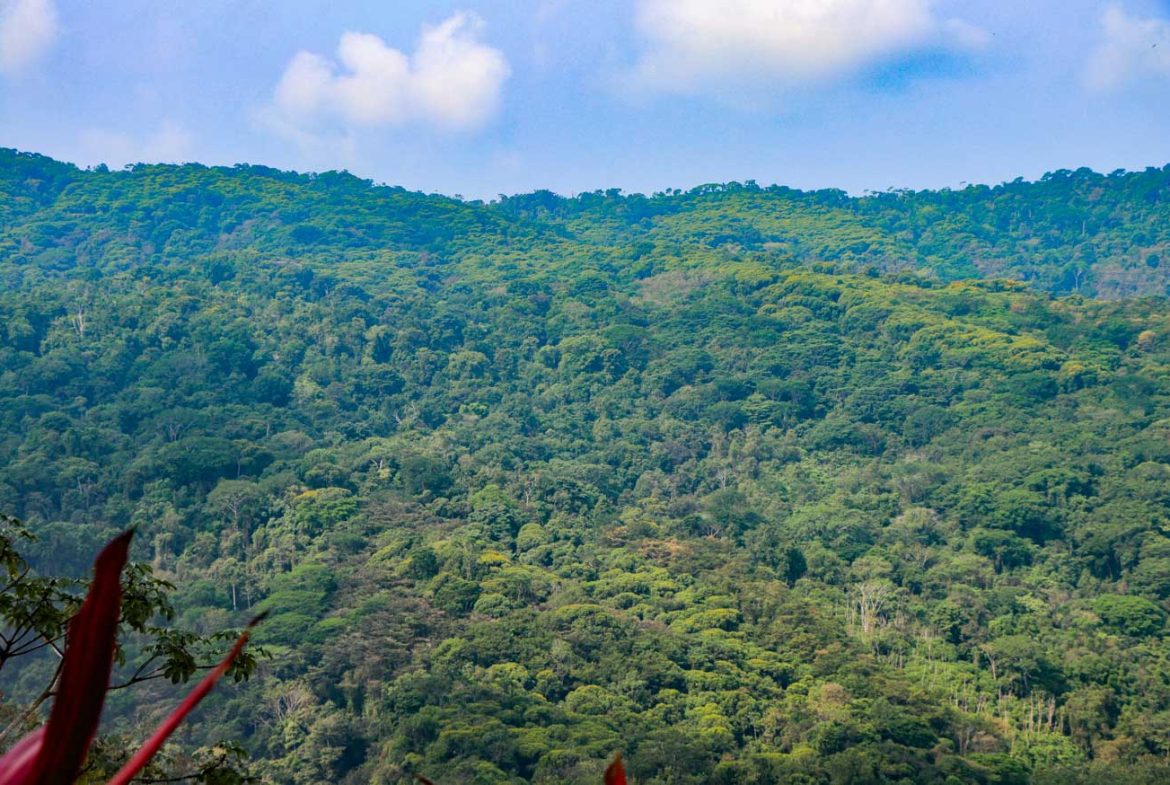 MOUNTAIN PROPERTY WITH A GUEST HOUSE WITH BEAUTIFUL VIEWS OF THE NATURE, IN BARU – 3.53 ACRES