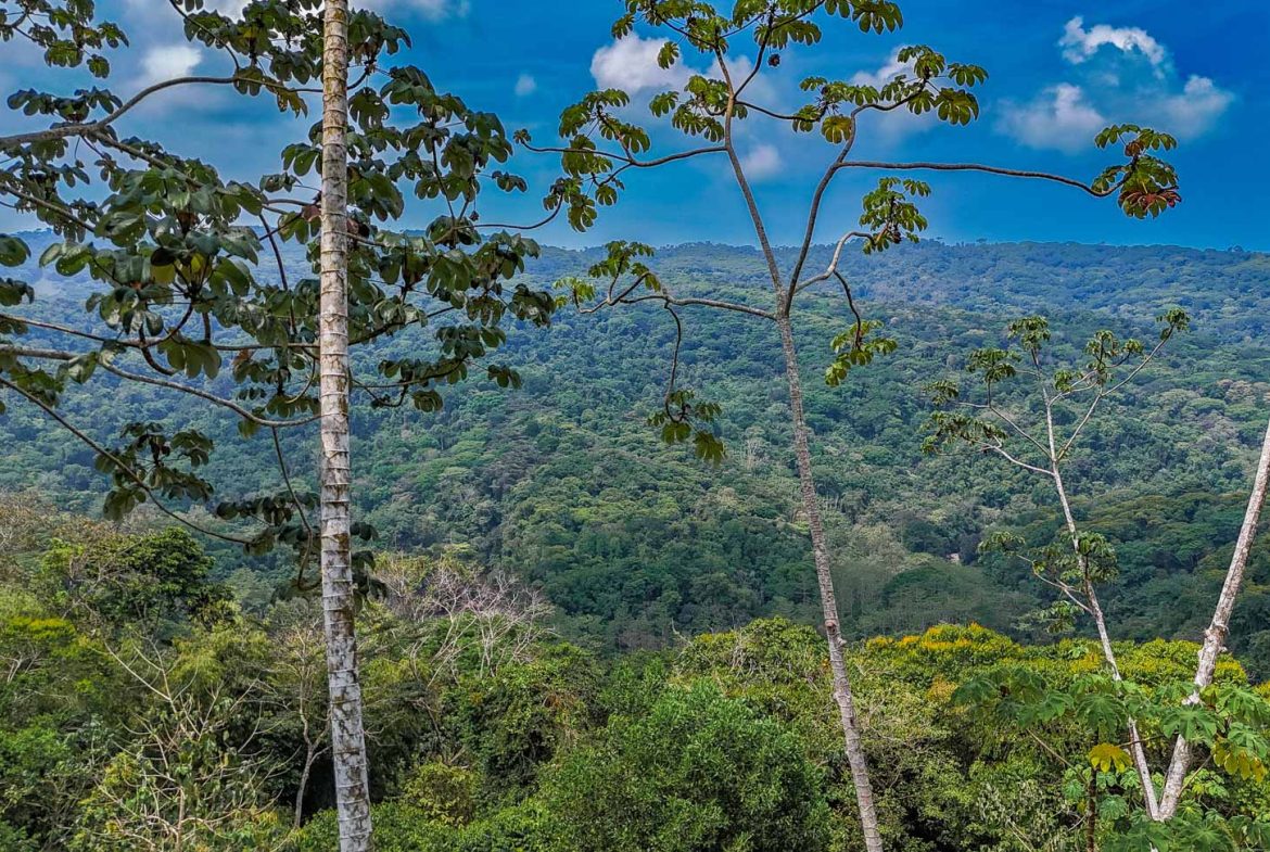 MOUNTAIN PROPERTY WITH A GUEST HOUSE WITH BEAUTIFUL VIEWS OF THE NATURE, IN BARU – 3.53 ACRES