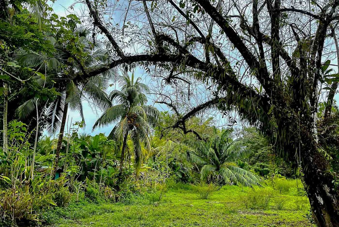 BUILDING PROPERTY WITH STEPS OF THE BEACH, IN LA COLONIA – 2.47 ACRES