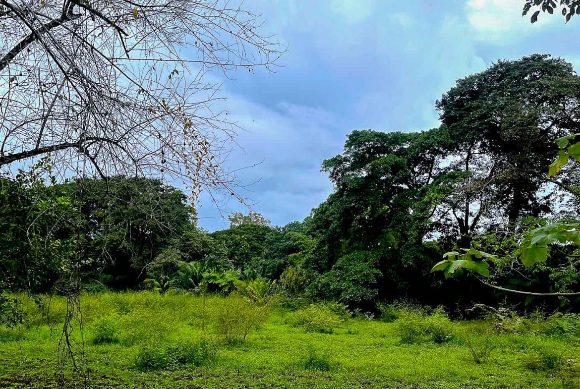 BUILDING PROPERTY WITH STEPS OF THE BEACH, IN LA COLONIA – 2.47 ACRES