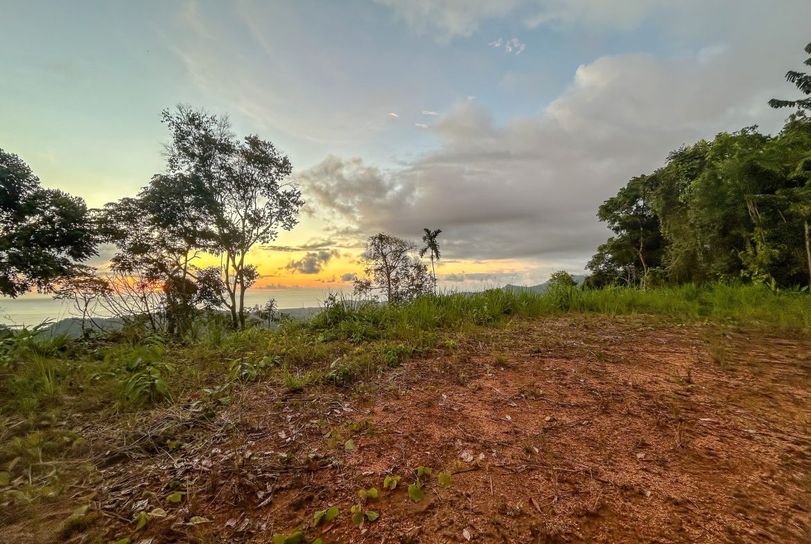 THREE BUILDING LOTS WITH OCEAN VIEWS IN THE NATURAL HEART OF VERGEL, IN PUNTA MALA – 2.47 ACRES