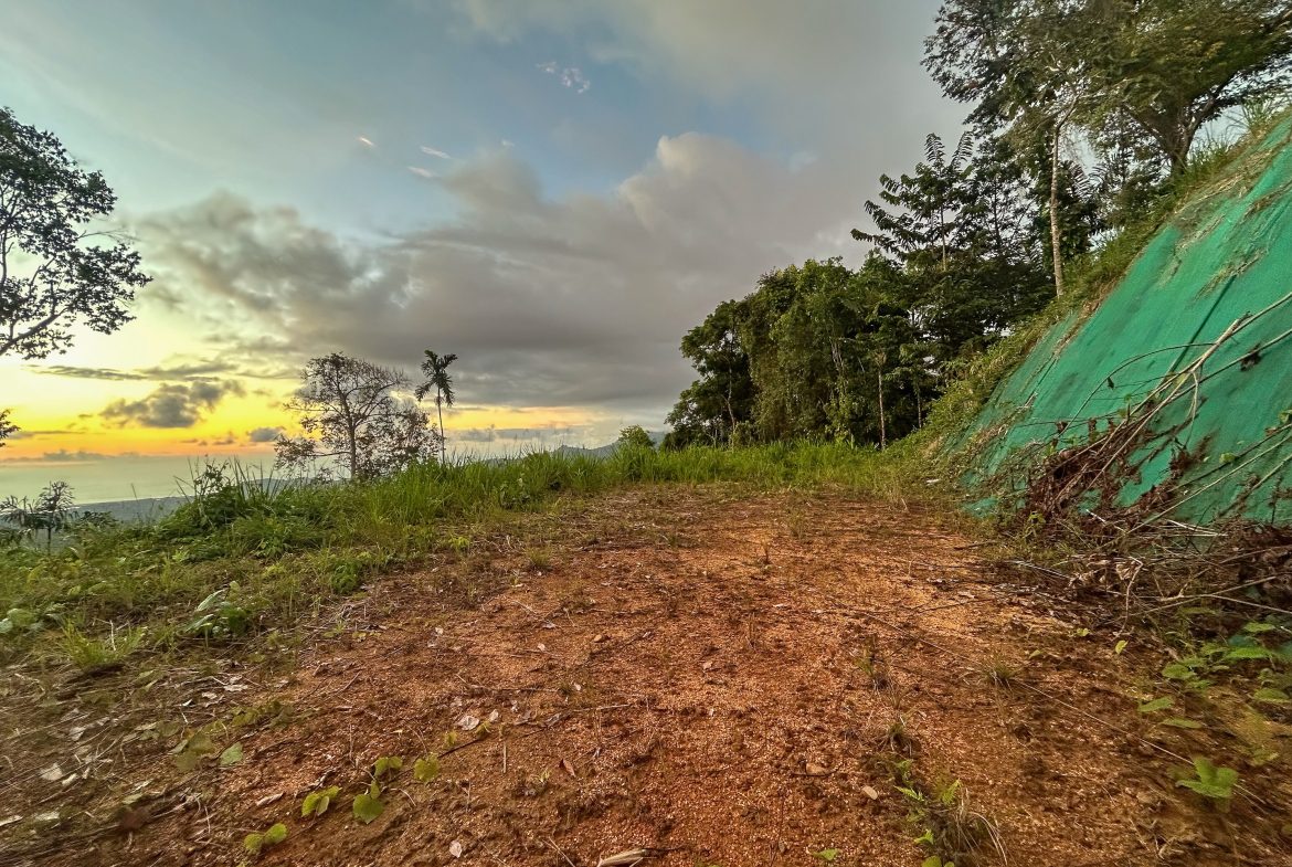 THREE BUILDING LOTS WITH OCEAN VIEWS IN THE NATURAL HEART OF VERGEL, IN PUNTA MALA – 2.47 ACRES