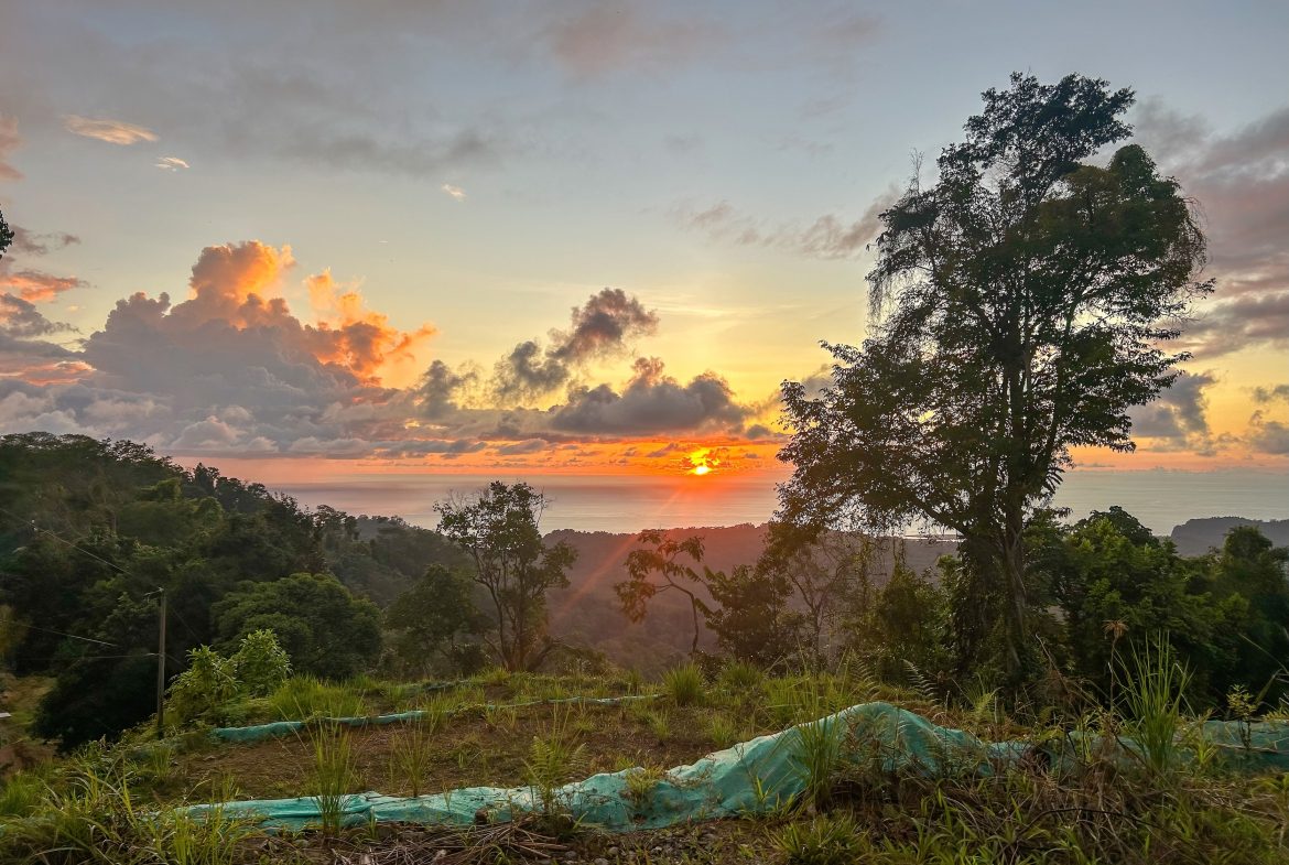 THREE BUILDING LOTS WITH OCEAN VIEWS IN THE NATURAL HEART OF VERGEL, IN PUNTA MALA – 2.47 ACRES