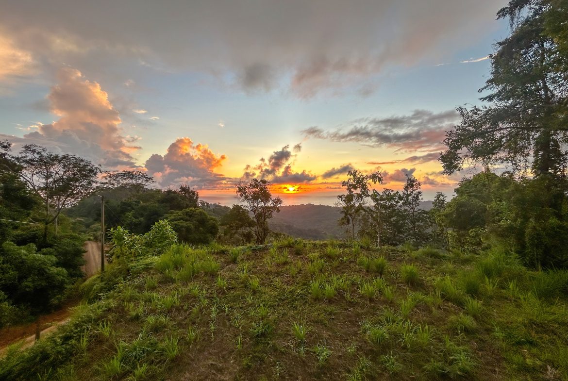 THREE BUILDING LOTS WITH OCEAN VIEWS IN THE NATURAL HEART OF VERGEL, IN PUNTA MALA – 2.47 ACRES