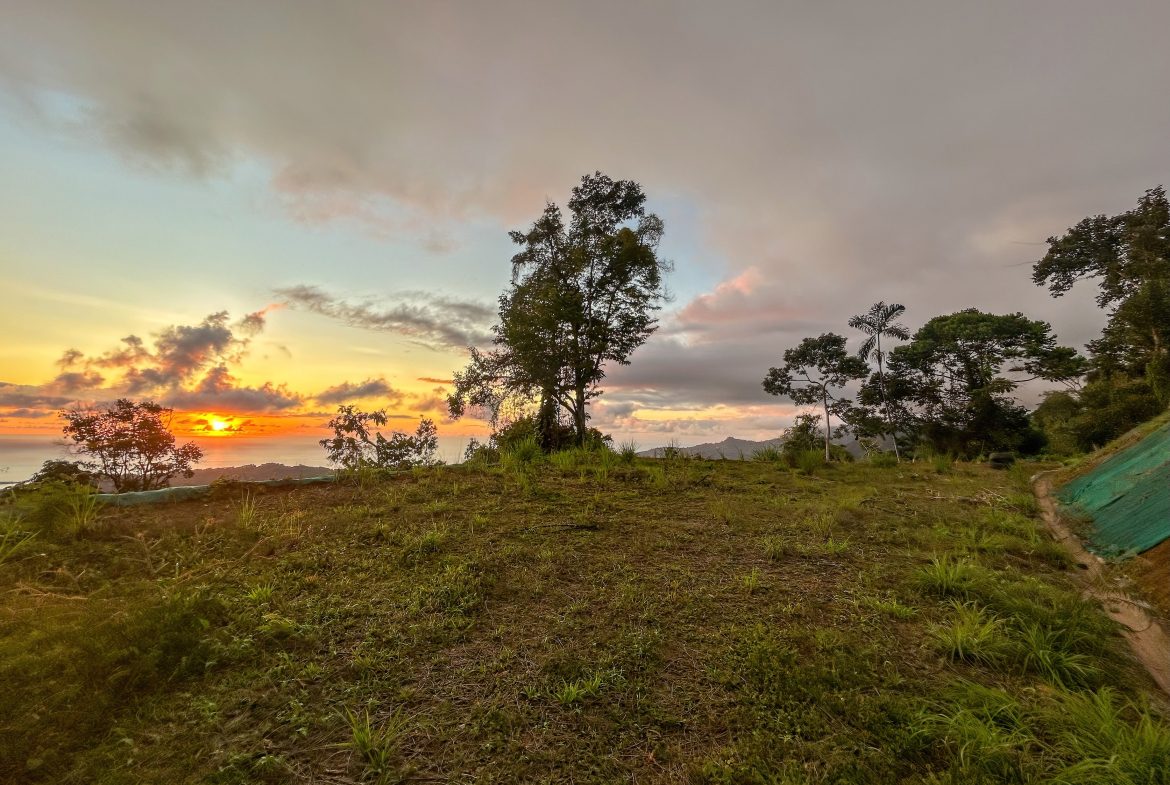 THREE BUILDING LOTS WITH OCEAN VIEWS IN THE NATURAL HEART OF VERGEL, IN PUNTA MALA – 2.47 ACRES