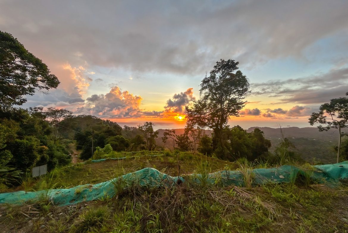 THREE BUILDING LOTS WITH OCEAN VIEWS IN THE NATURAL HEART OF VERGEL, IN PUNTA MALA – 2.47 ACRES