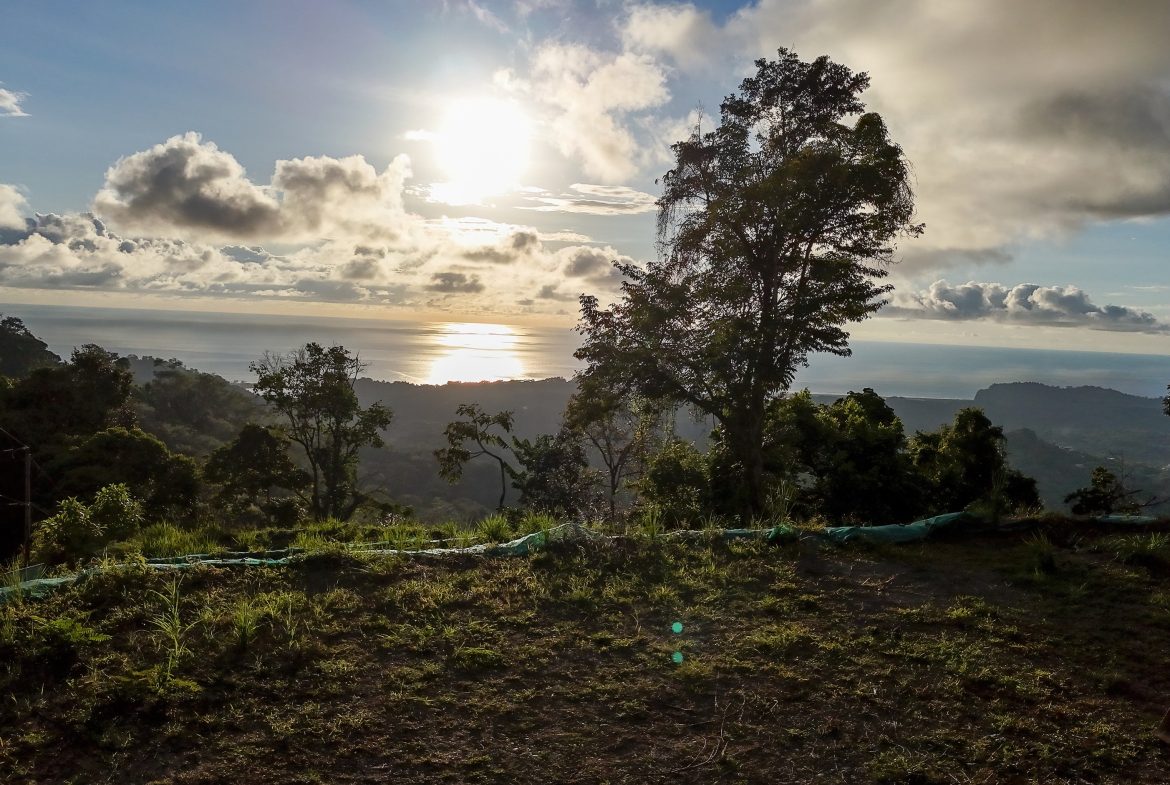 THREE BUILDING LOTS WITH OCEAN VIEWS IN THE NATURAL HEART OF VERGEL, IN PUNTA MALA – 2.47 ACRES