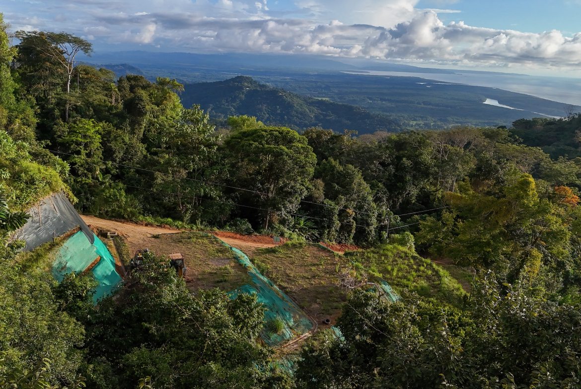 THREE BUILDING LOTS WITH OCEAN VIEWS IN THE NATURAL HEART OF VERGEL, IN PUNTA MALA – 2.47 ACRES