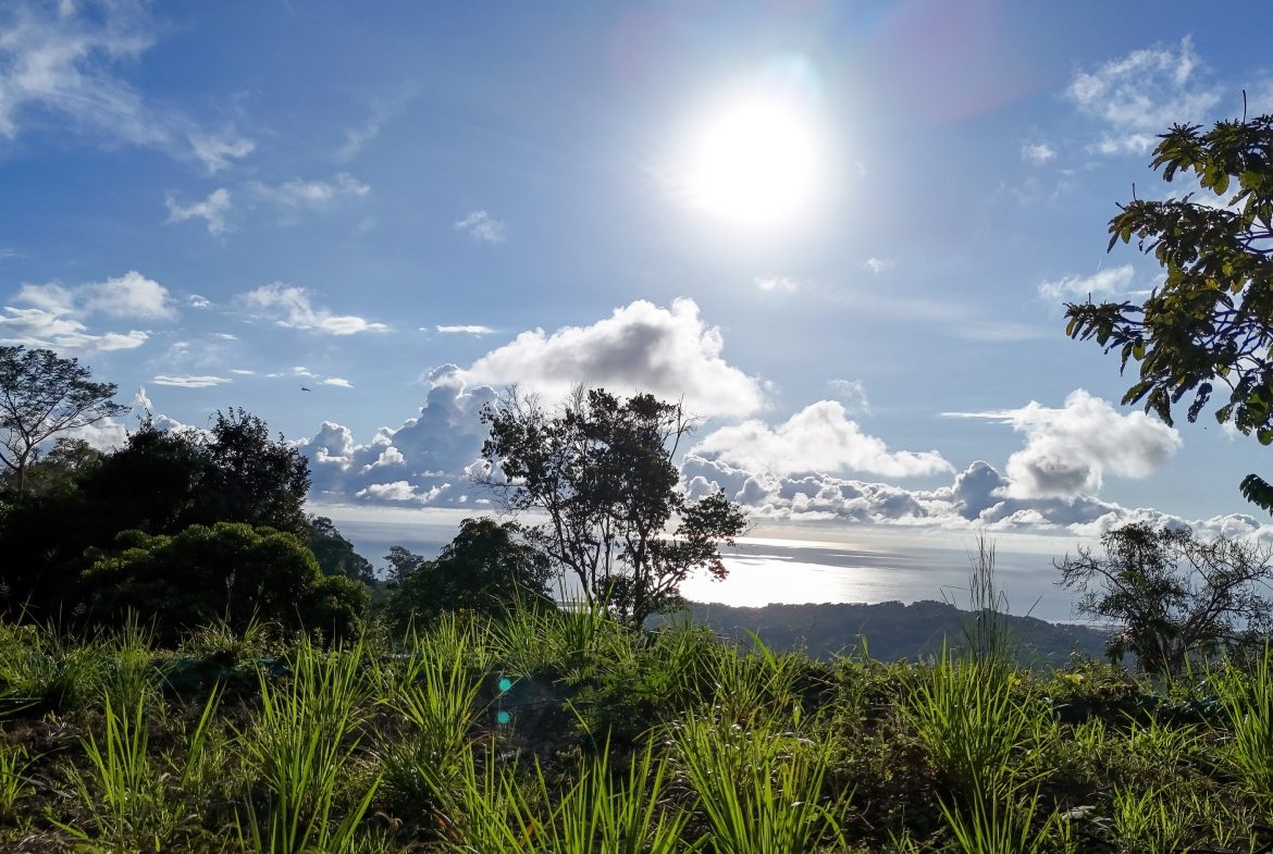 THREE BUILDING LOTS WITH OCEAN VIEWS IN THE NATURAL HEART OF VERGEL, IN PUNTA MALA – 2.47 ACRES