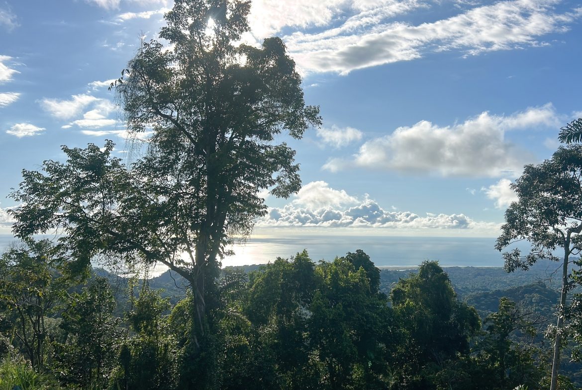 THREE BUILDING LOTS WITH OCEAN VIEWS IN THE NATURAL HEART OF VERGEL, IN PUNTA MALA – 2.47 ACRES