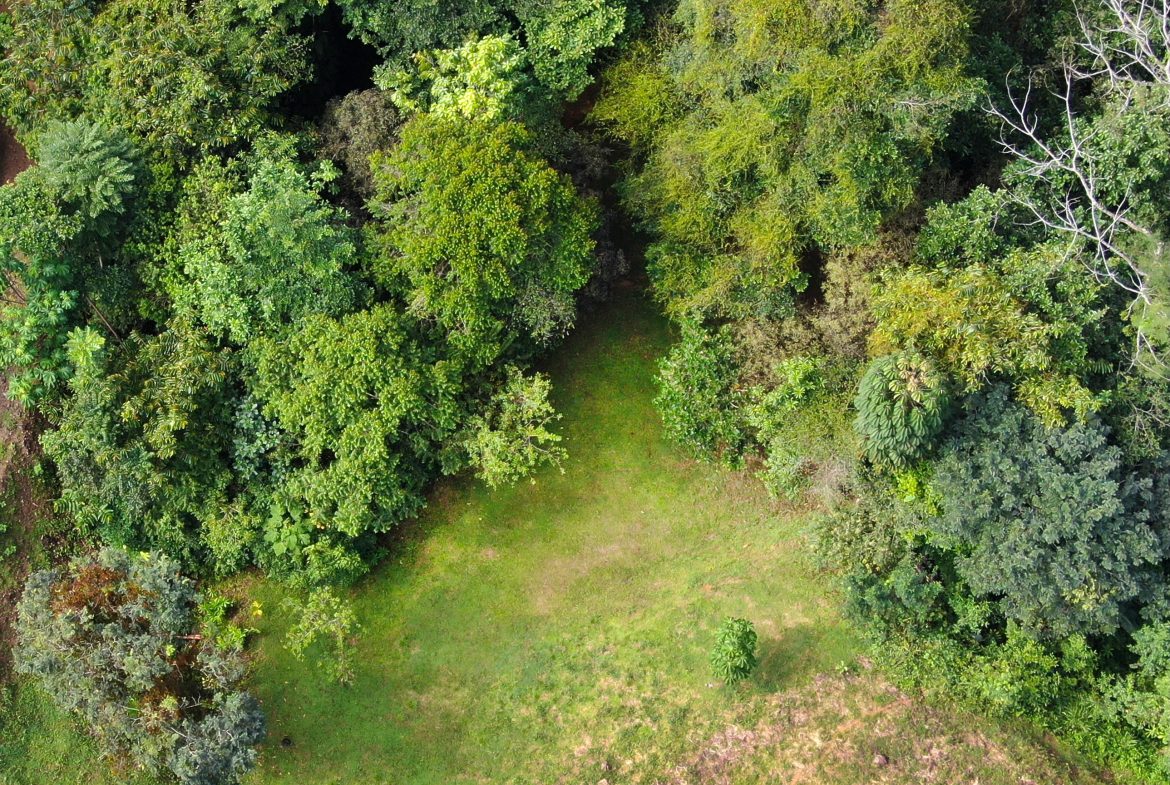 BUILDING PROPERTY WITH MOUNTAINS VIEWS, IN SAN JOSECITO – 1.8 ACRES