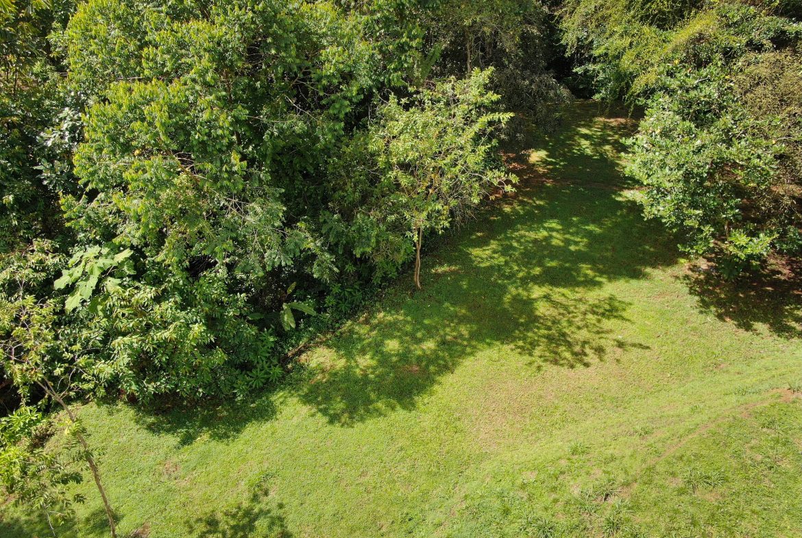 BUILDING PROPERTY WITH MOUNTAINS VIEWS, IN SAN JOSECITO – 1.8 ACRES