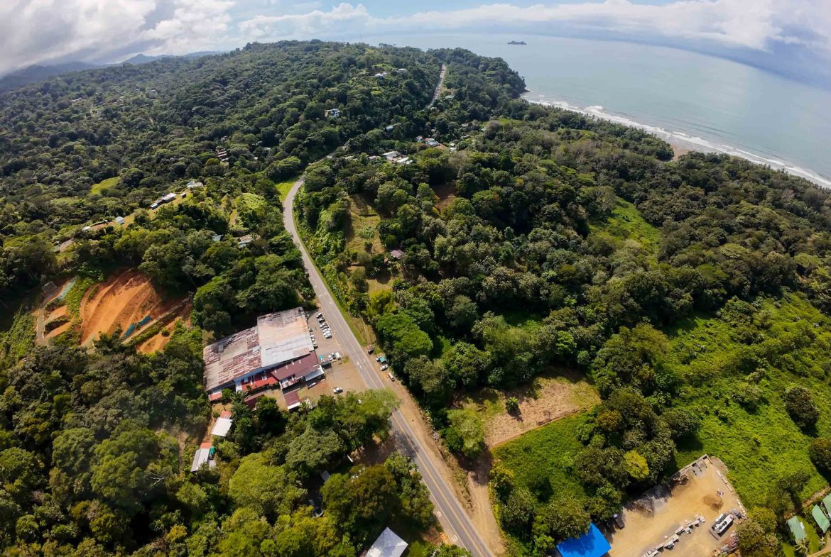 DEVELOPMENT LAND NEAR TO THE CITY AND THE BEACH, IN BAHIA BALLENA – 29 ACRES