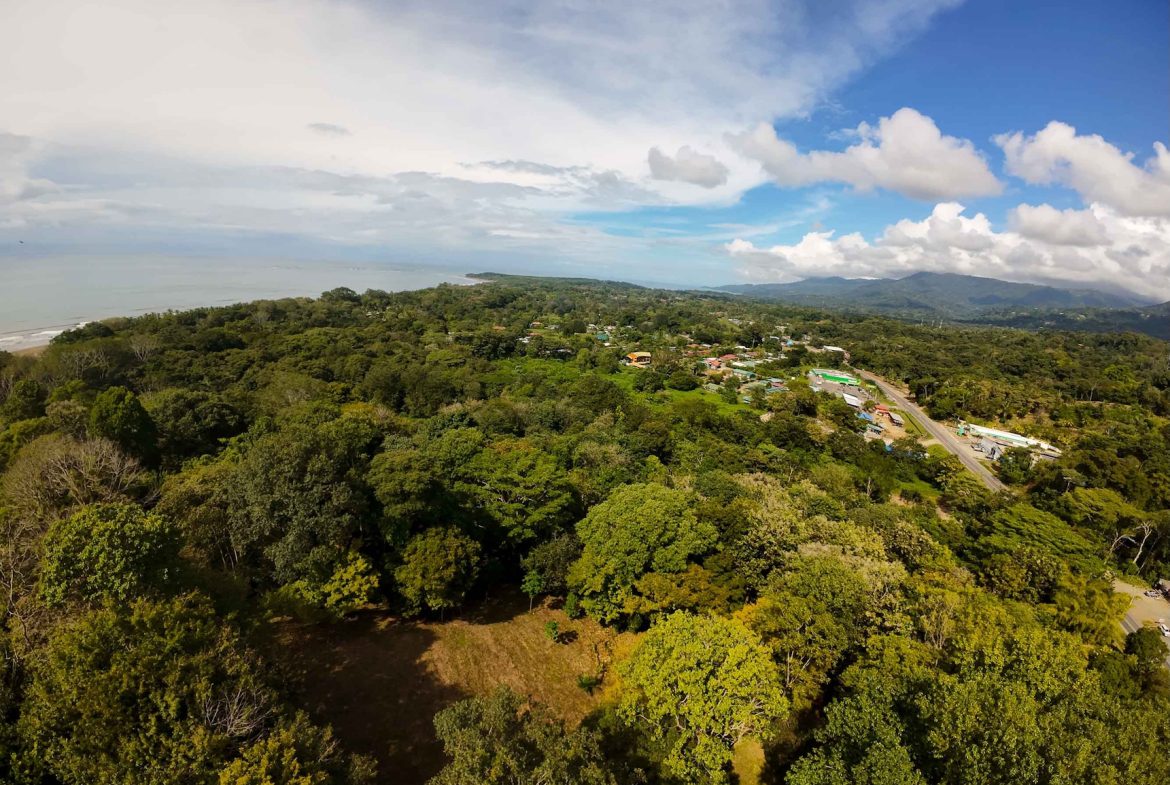 DEVELOPMENT LAND NEAR TO THE CITY AND THE BEACH, IN BAHIA BALLENA – 29 ACRES
