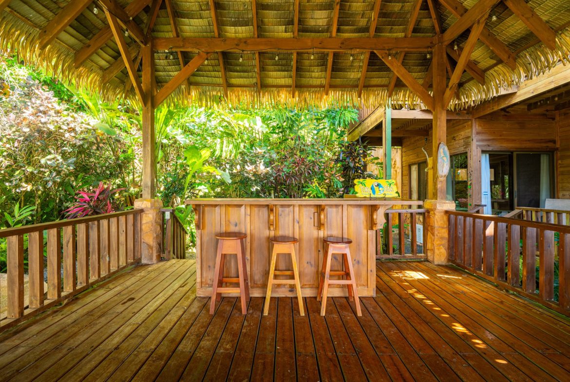VILLA KRISTINA MOUNTAIN PROPERTY WITH OCEAN VIEWS AND A GUEST HOUSE, IN BALLENA – 3.8 ACRES